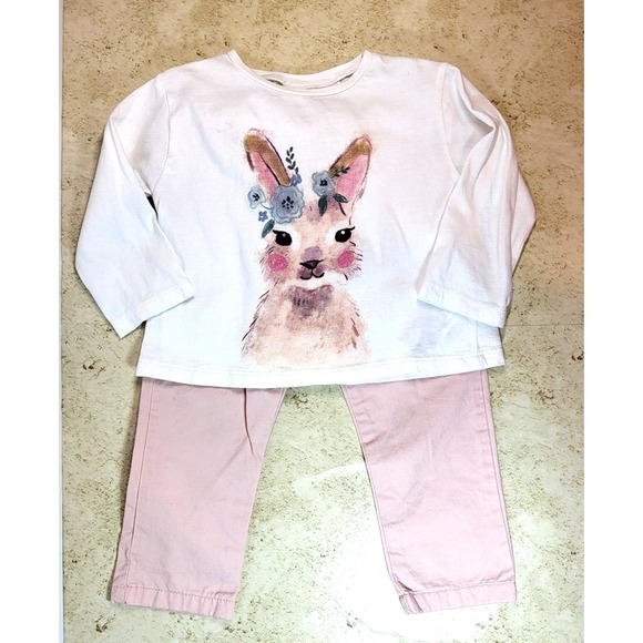 Zara Baby Other - Zara Baby Collection Bunny Long Sleeve TShirt Dusty Pink Pleated Pant Set 12-18M